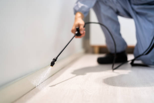 Licensed Mosquito Control service in Clinton, OK - Show Me Pest Control