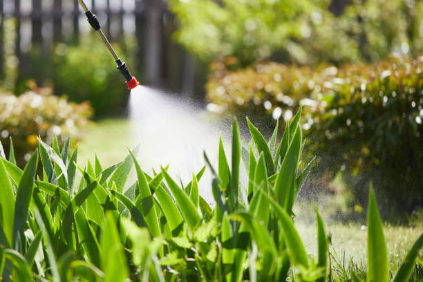 24/7 Emergency Mosquito Control experts in Clinton, OK
