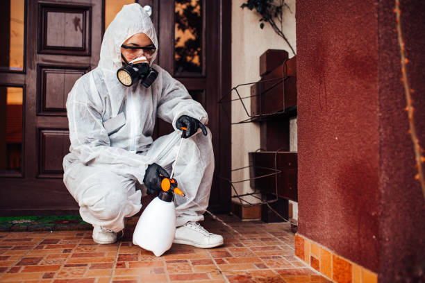 Reliable Mosquito Control contractor in Clinton, OK by Show Me Pest Control